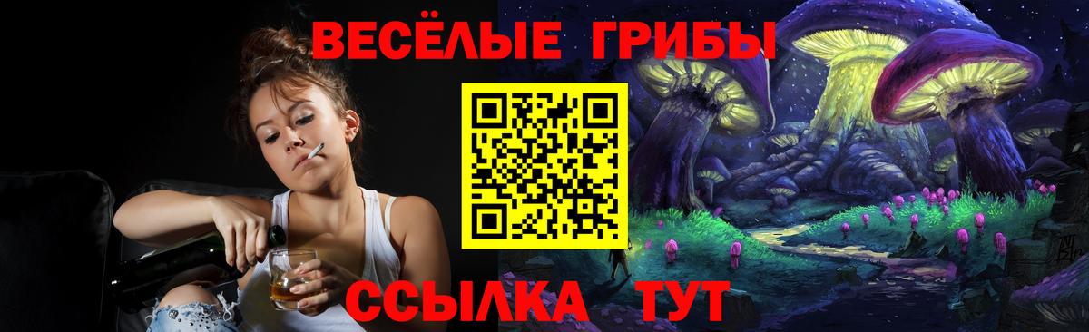 Кировск  Галлюциногенные грибы мухоморы  Галлюциногенные грибы Psilocybine cubensis  Вход с VPN 